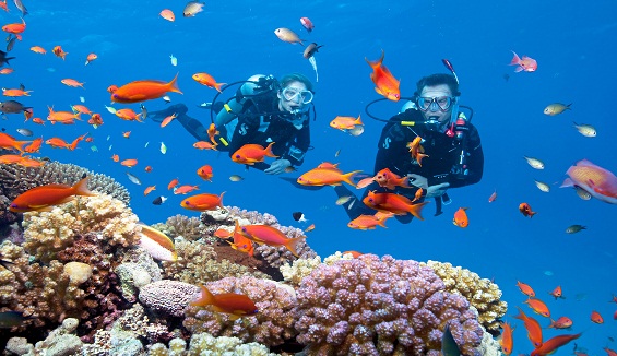 Scuba Diving